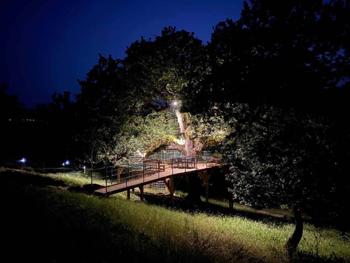 Dimora Igea B&B Montano Antilia Kültér fotó