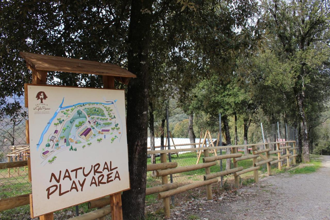 Dimora Igea B&B Montano Antilia Kültér fotó