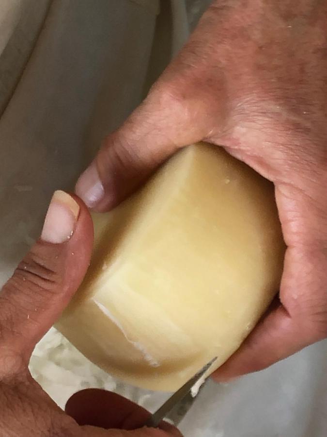 Dimora Igea B&B Montano Antilia Kültér fotó